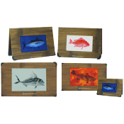 Four Seasons Aquarium - Custom Menu Covers, Binders, & Presentation Folders